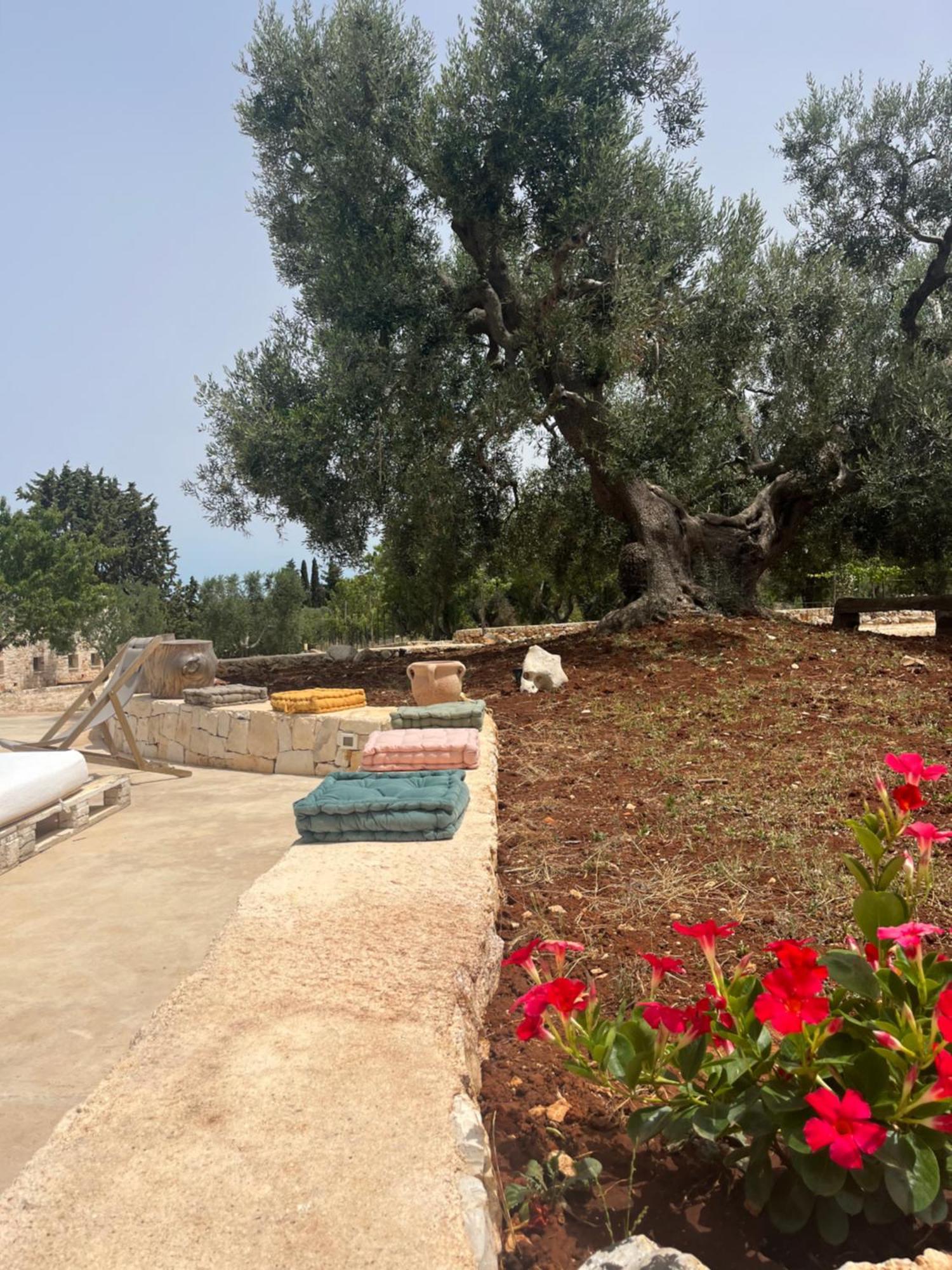 Dominique Relax A Pochi Kilometri Dal Mare Carovigno